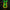 Runescape herblore cape neon sign hanging on the wall.
