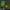Runescape Herblore cape neon sign shaped like a green and yellow tie above a computer monitor displaying a video game.