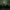 RuneScape Herblore Skillcape LED neon sign in gaming setup with monitors – OSRS room decor