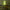OSRS Inverted fishing master cape neon sign shaped on a wall in a bedroom setting.