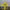 RuneScape Saradomin Symbol LED neon sign close up – OSRS custom neon lighting