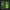 Display of both types of RS3 Farming Cape LED neon signs (type 